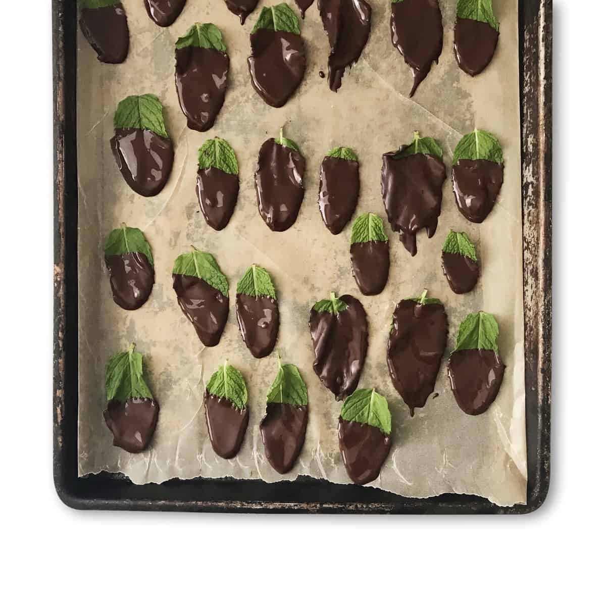 Real Chocolate Mints - Chef Whitney Aronoff | Starseed Kitchen