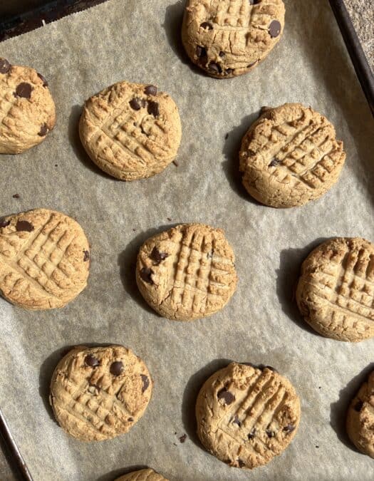 healthy peanut butter chocolate chip cookies