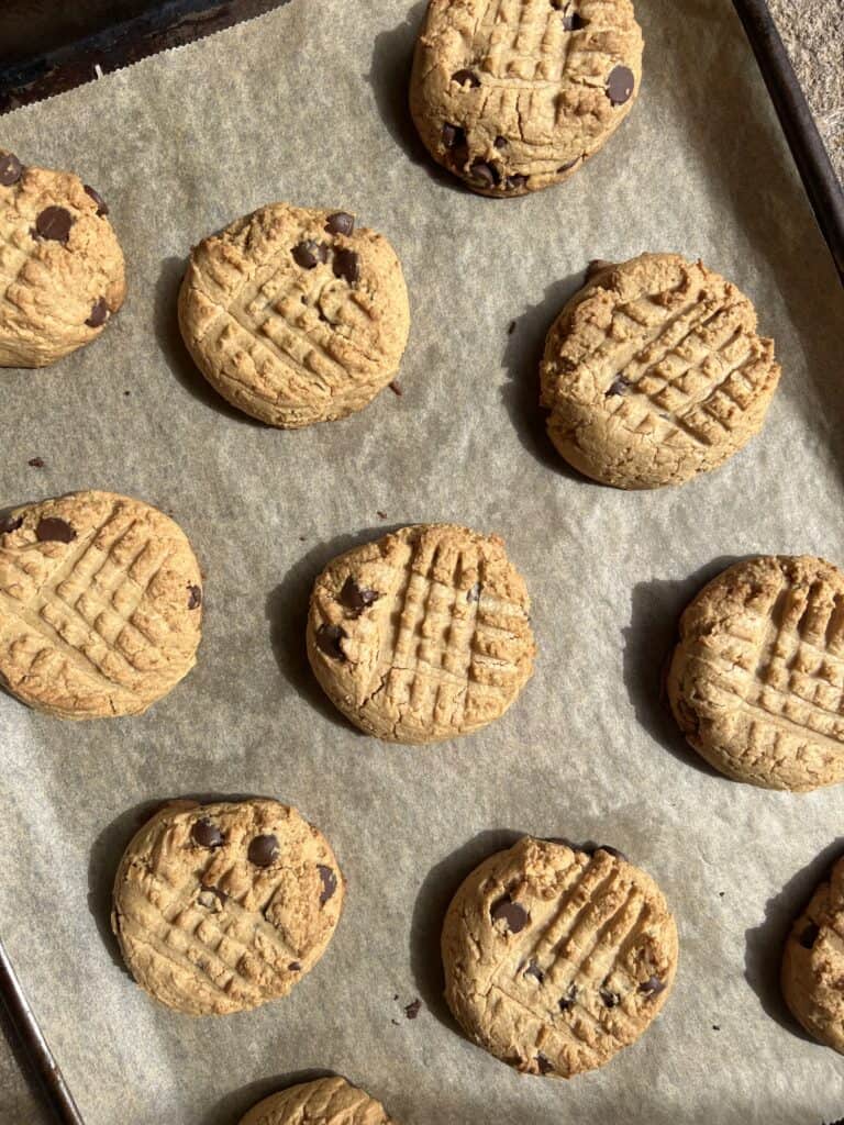 healthy peanut butter chocolate chip cookies